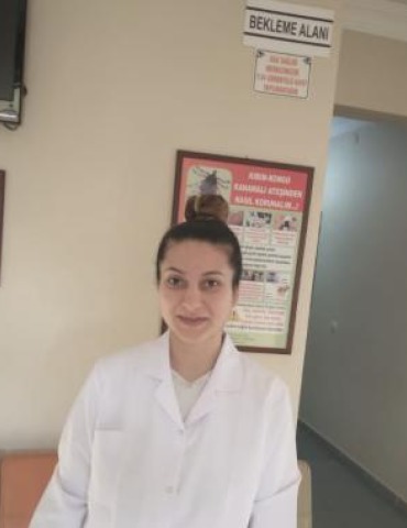 Sibel KÖLE